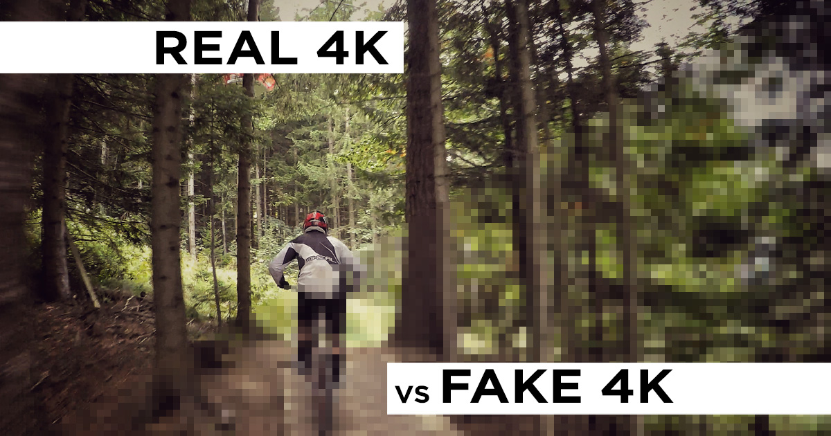 Real Fake 4k